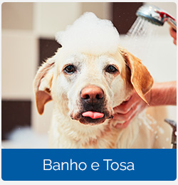 Home - Half Banner - Banho e Tosa