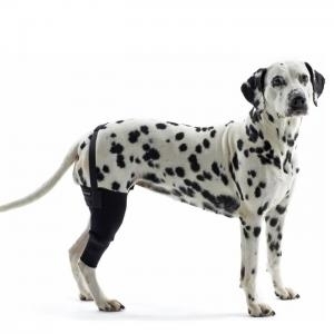 Protetor de joelho direito