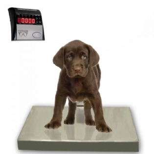 Balança digital veterinária plataforma grande em aço inox